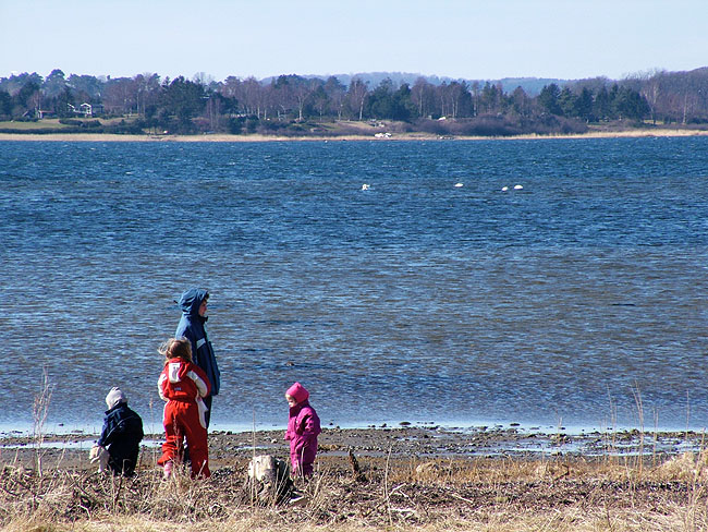 image/roskilde_fjord-027.jpg