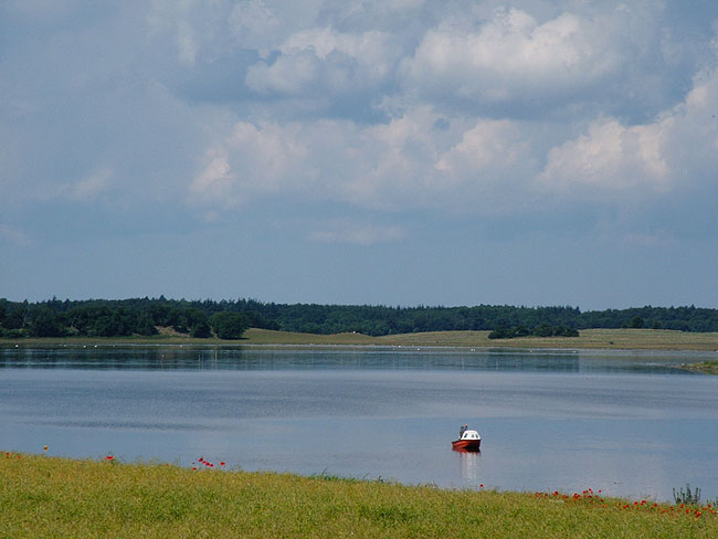 image/roskilde_fjord-040.jpg