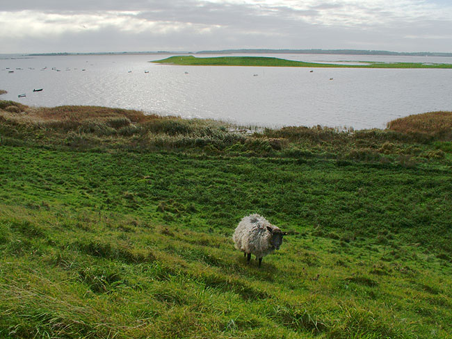 image/roskilde_fjord-074.jpg