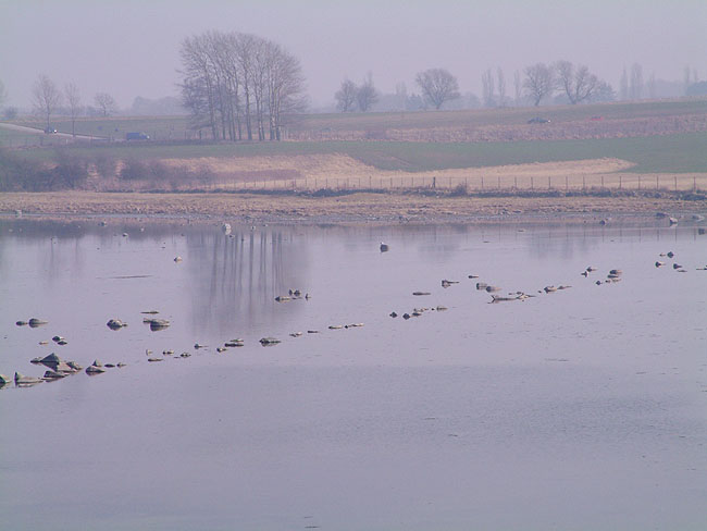 image/roskilde_fjord-100.jpg