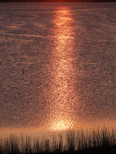 image/roskilde_fjord-118.jpg