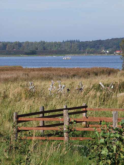 image/roskilde_fjord-154.jpg