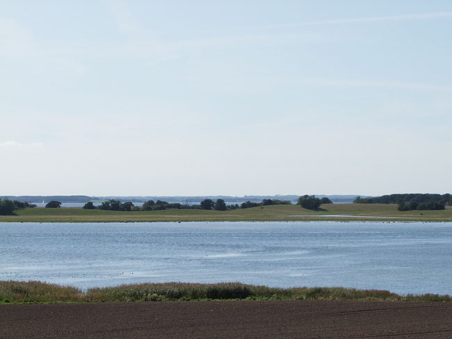 image/roskilde_fjord-184.jpg
