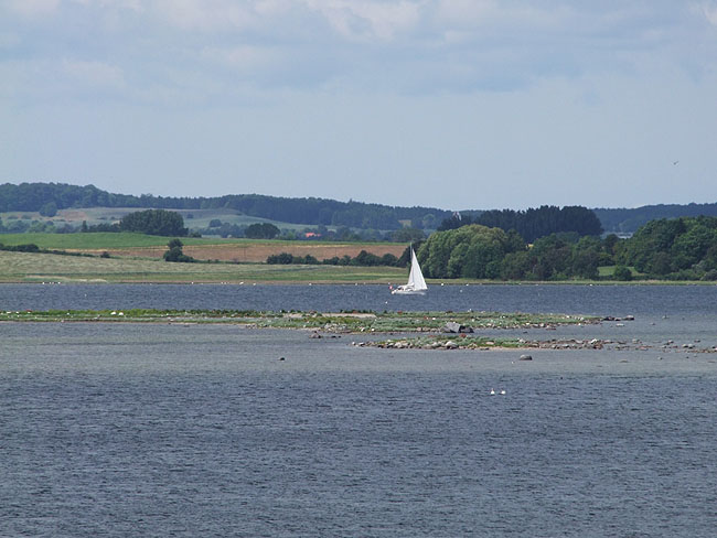 image/roskilde_fjord-254.jpg