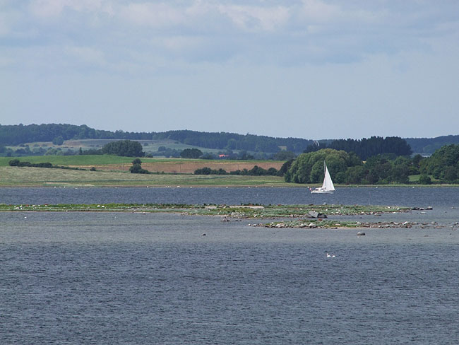 image/roskilde_fjord-255.jpg