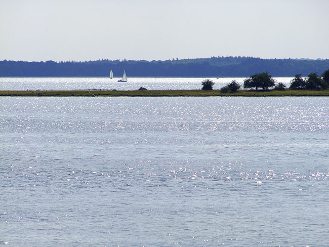 image/roskilde_fjord-308.jpg