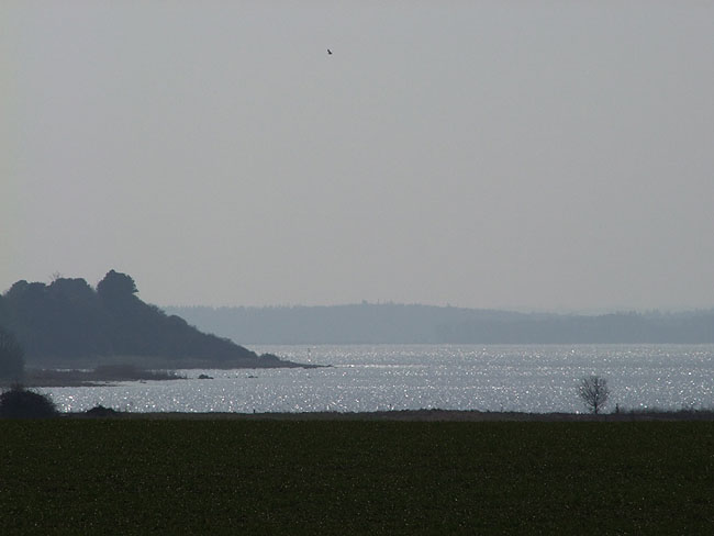 image/roskilde_fjord-319.jpg