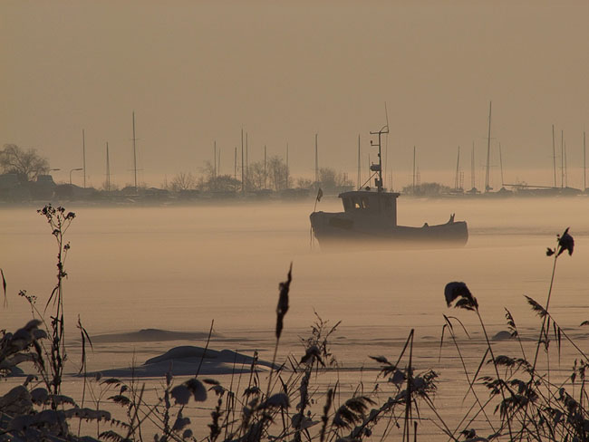image/roskilde_fjord-375.jpg