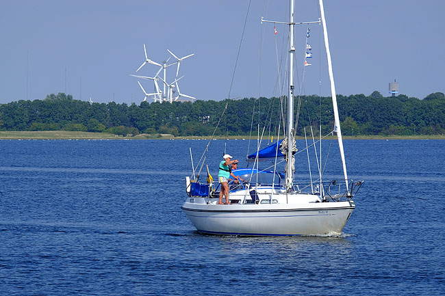 image/roskilde_fjord-3810.jpg