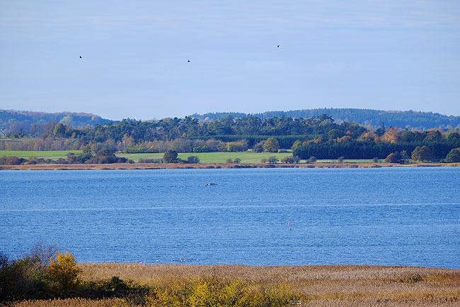 image/roskilde_fjord-4680.jpg
