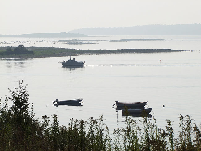 image/roskilde_fjord-469.jpg