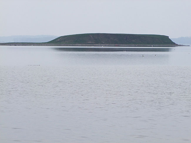 image/roskilde_fjord-472.jpg