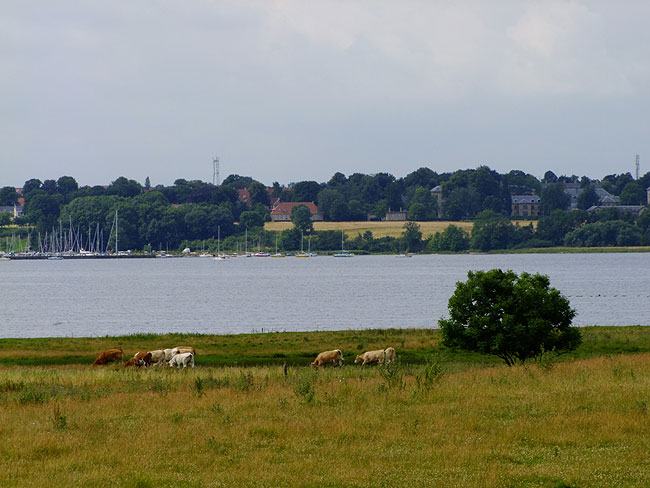 image/roskilde_fjord-604.jpg