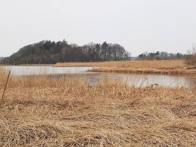 image/roskilde_fjord-7692.jpg