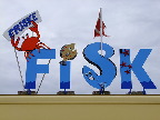 image/_ballen_fisk-478.jpg
