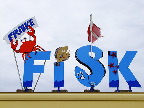 image/_ballen_fisk-479.jpg