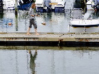 image/_ballen_havn-467.jpg