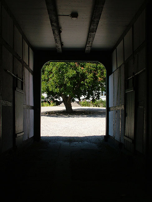 image/port-88.jpg