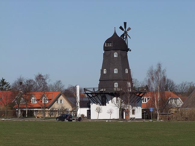 image/ganloese_moelle-166.jpg