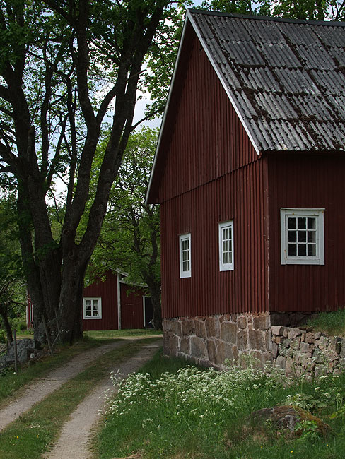 image/oedegaard-005.jpg