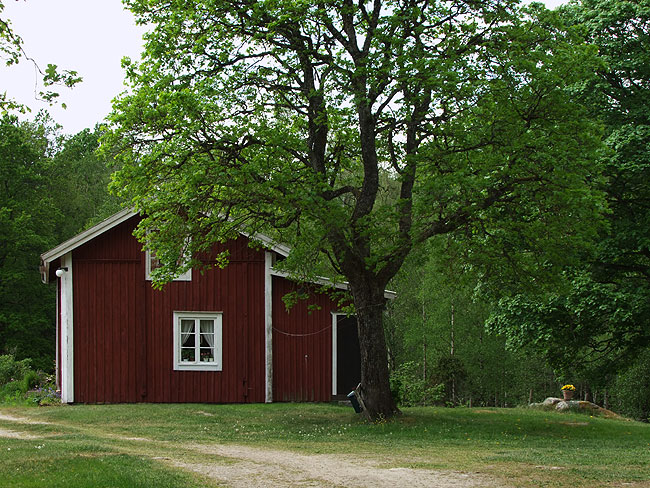 image/oedegaard-016.jpg