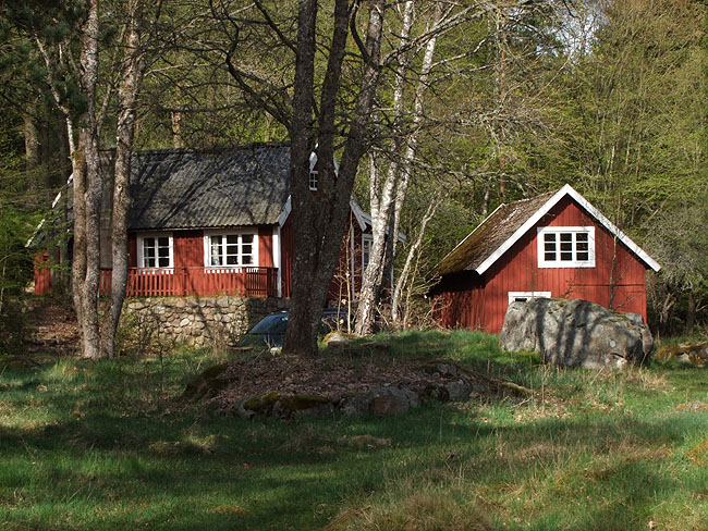 image/oedegaard-089.jpg