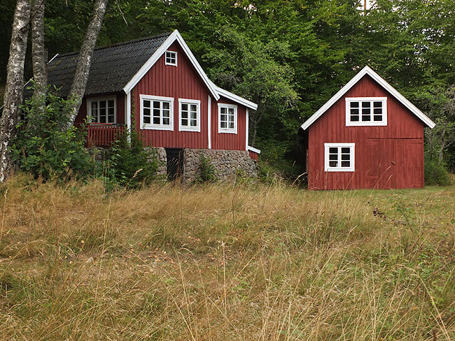 image/oedegaard-1766.jpg