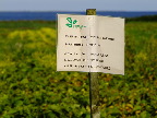 image/_oekologisk_mark-695.jpg