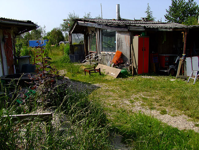 image/thylejren-374.jpg