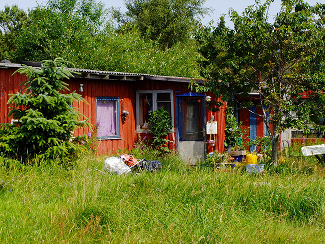 image/thylejren-400.jpg