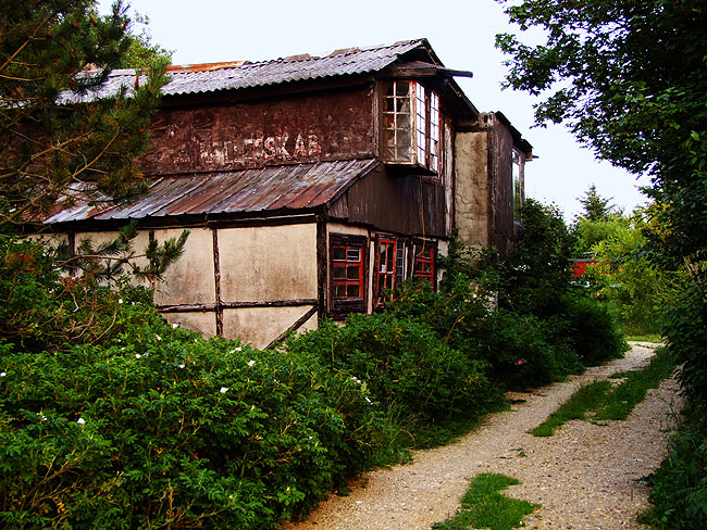 image/thylejren-572.jpg