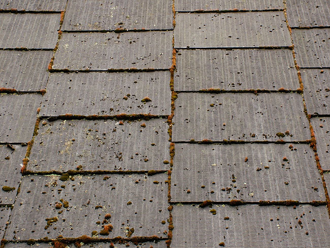 image/oekologisk_landsby-004.jpg