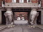 image/_carlsberg-841.jpg
