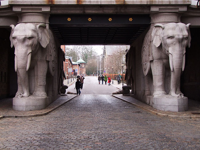 image/carlsberg-059.jpg