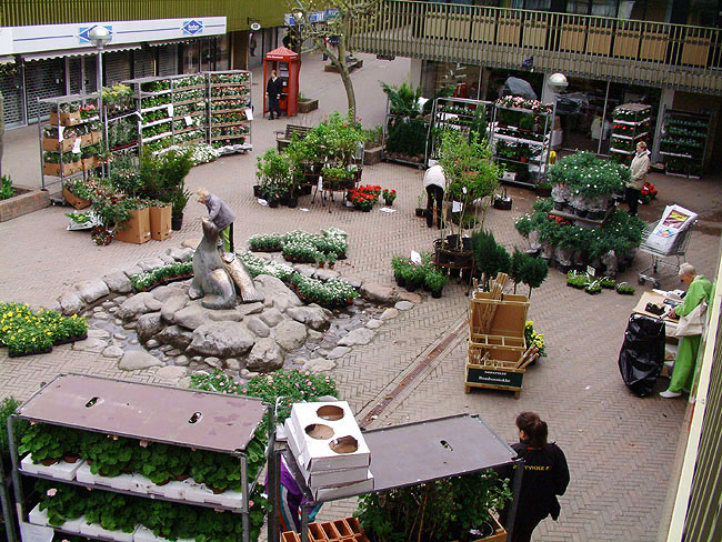 image/plantemarked-23.jpg
