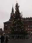 image/_kbh_juletrae-526.jpg