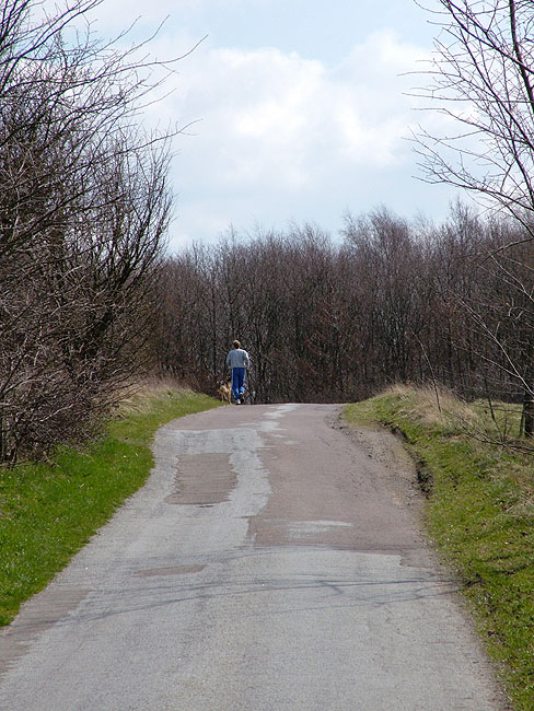 image/jogger-23.jpg