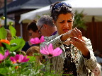 image/_torvedag-187.jpg