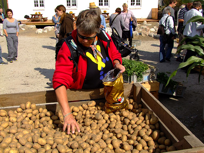 image/oekologisk_hoest-607.jpg