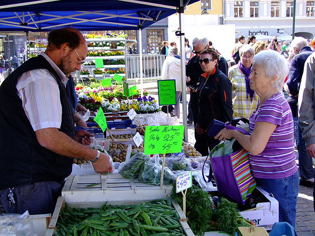 image/torvedag-541.jpg