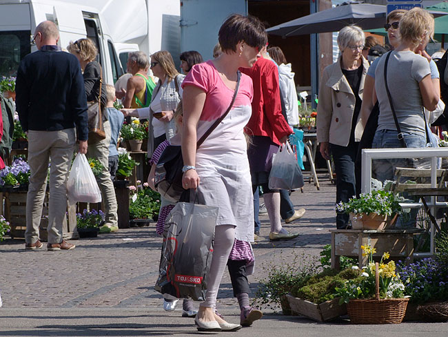 image/torvedag-577.jpg