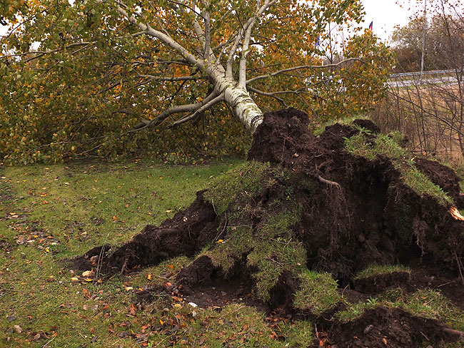 image/efteraarsstorm-070.jpg