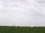 image/_canada_gaes-689.jpg