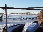 image/_fugle_roskilde_fjord-411.jpg