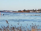 image/_fugle_roskilde_fjord-418.jpg