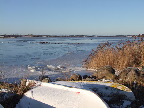 image/_fugle_roskilde_fjord-429.jpg