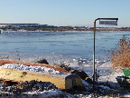 image/_fugle_roskilde_fjord-430.jpg