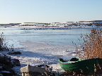 image/_fugle_roskilde_fjord-432.jpg