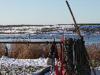 image/_fugle_roskilde_fjord-435.jpg