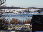 image/_fugle_roskilde_fjord-436.jpg